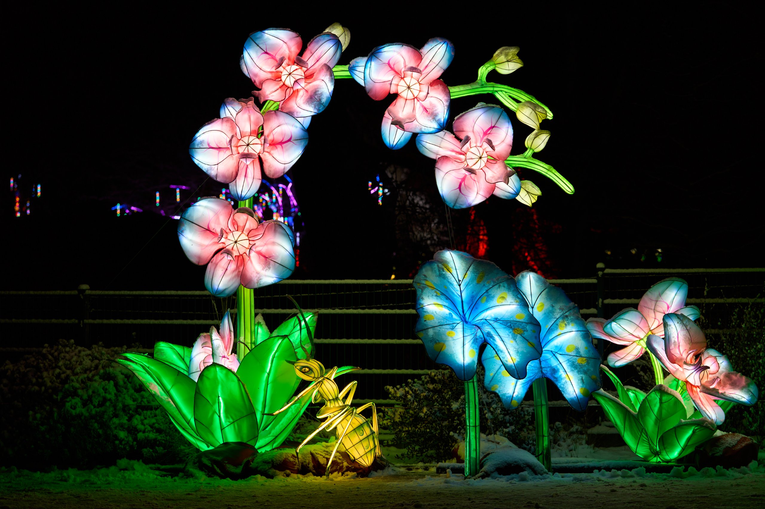 2026 01 05 China Lights 0106